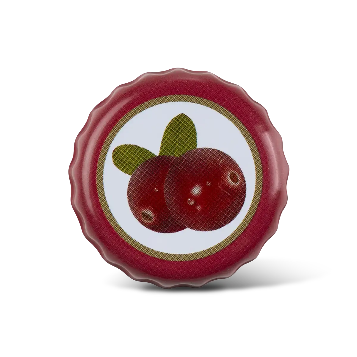 Fallout Nuka-Cola Cranberry Glass Bottle & Caps Fallout Nuka-Cola Cranberry Glass Bottle & Caps